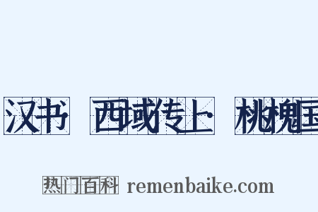 汉书·西域传上·桃槐国是什么意思的图片